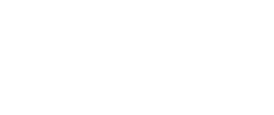 ndds logo transparent 1point3creative