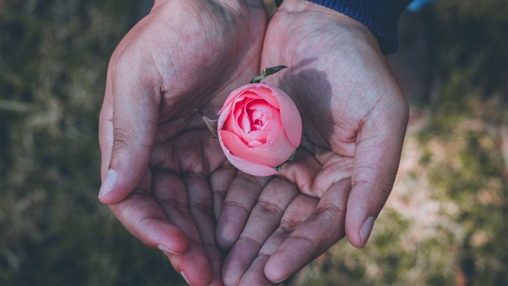 flower in hands, global