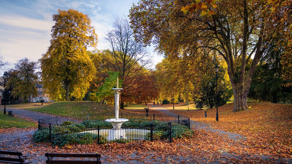 Derby-Derby-Arboretum-Park Derby Arboretum Park. silkmill 1point3creative