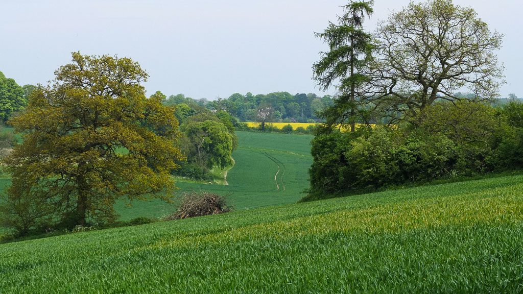 bedford-02 Rural Bedfordshire. Bedford 1point3creative